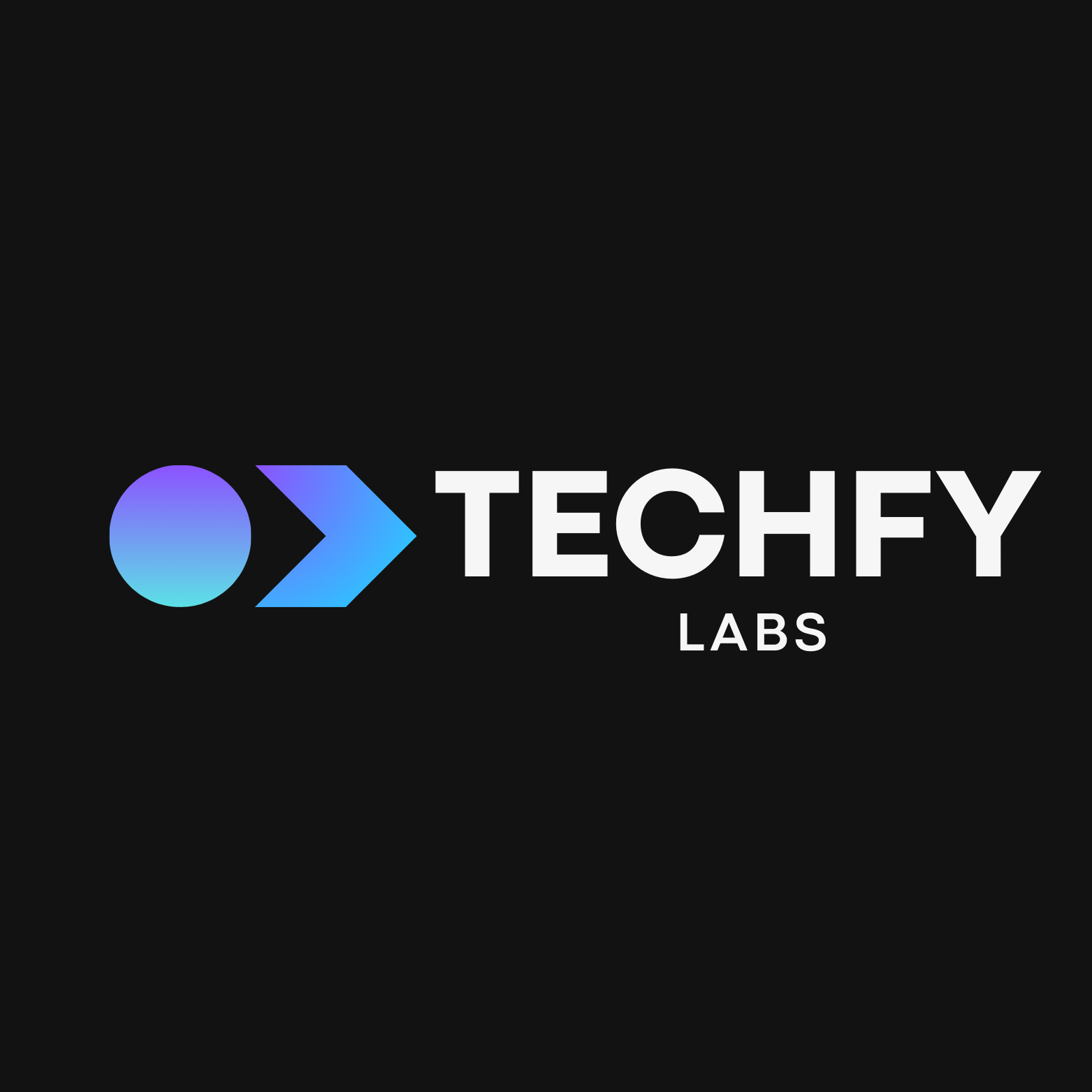 Techfy Labs Logo